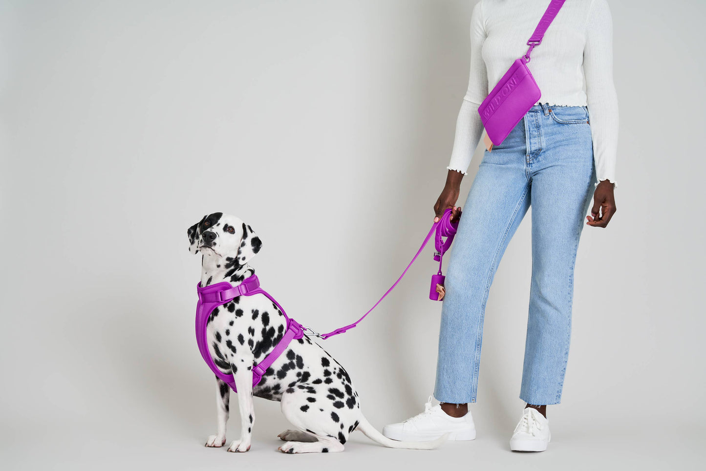 Wild One - Adjustable Waterproof Dog Leash