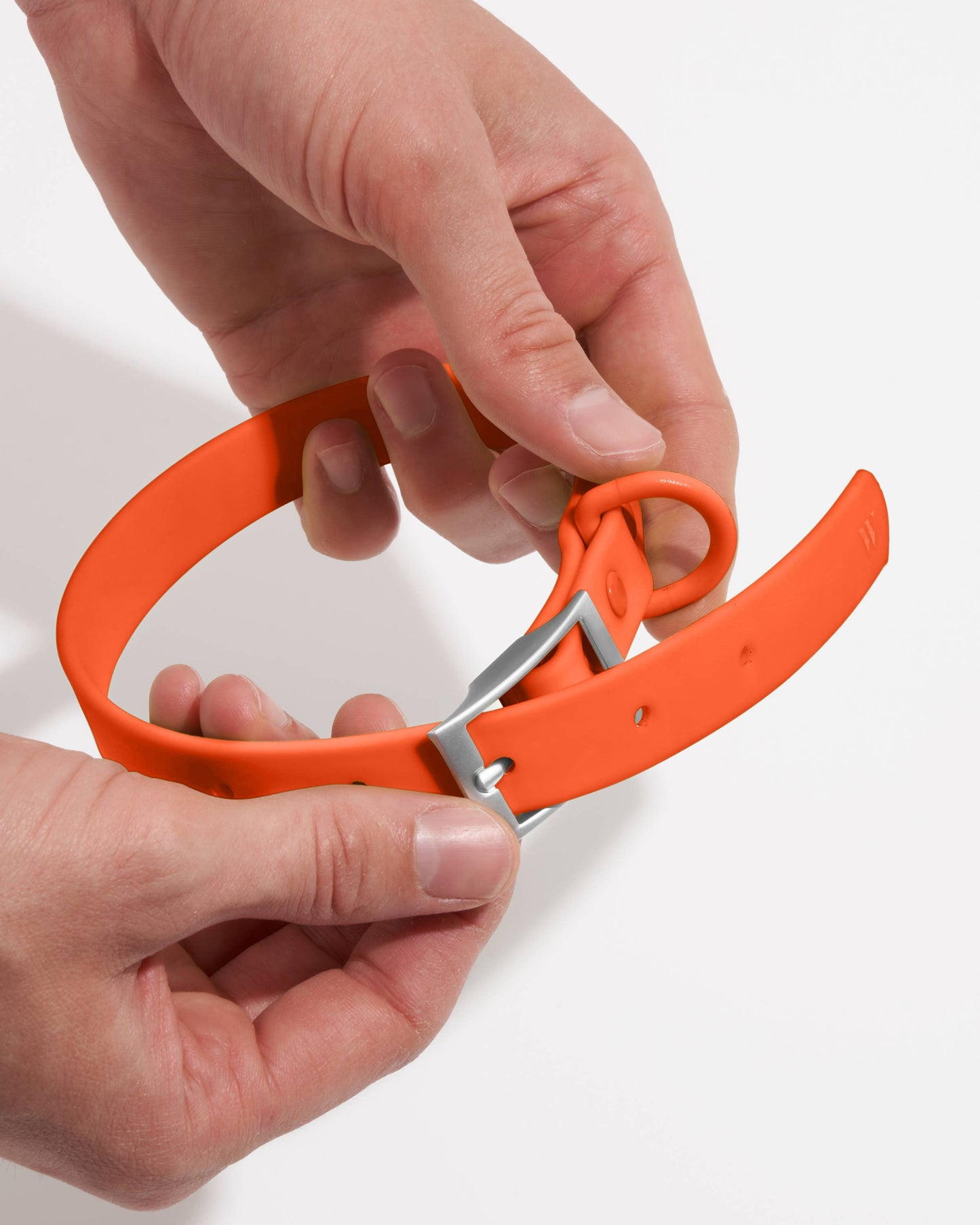 Wild One - Adjustable Waterproof Fashion Dog Collar