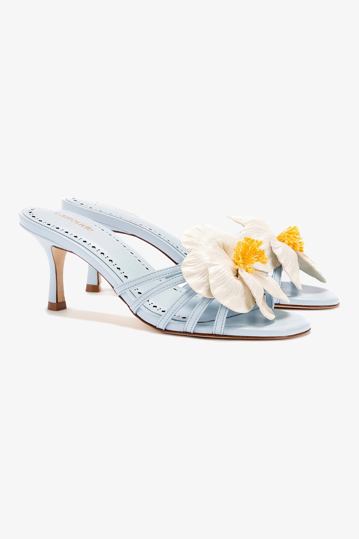 Magnolia Mule