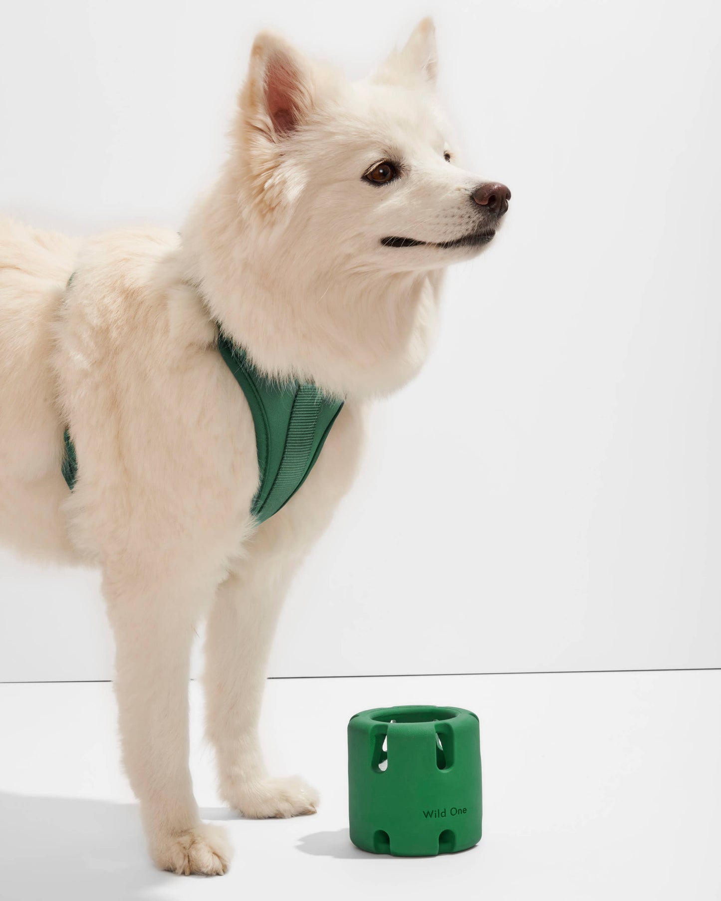 Wild One - Tennis Tumble Interactive Dog Toy