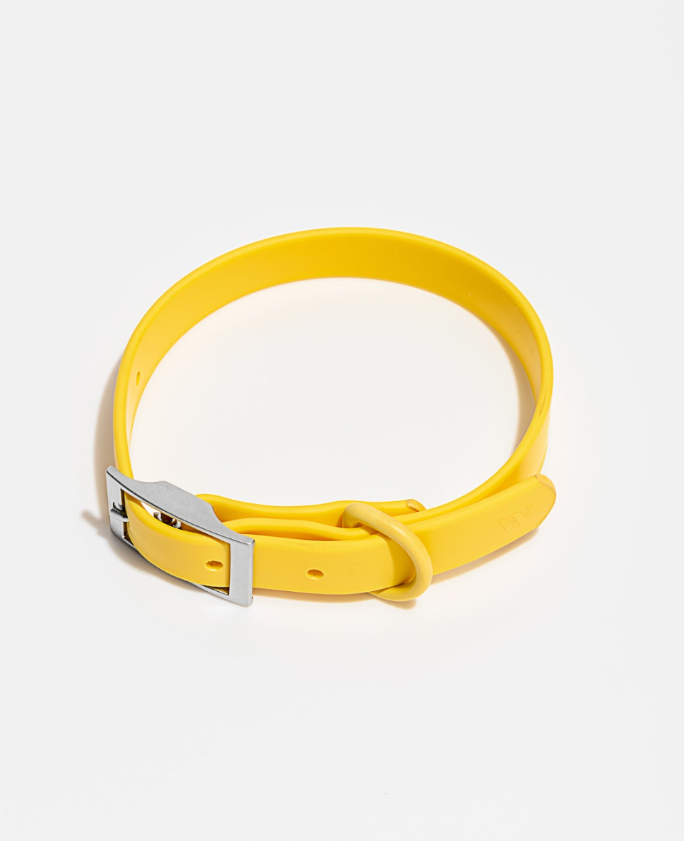 Wild One - Adjustable Waterproof Fashion Dog Collar