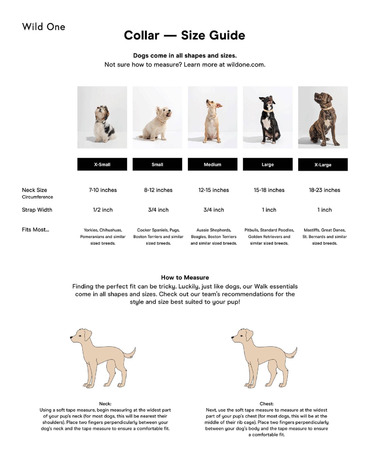 Wild One - Adjustable Waterproof Fashion Dog Collar