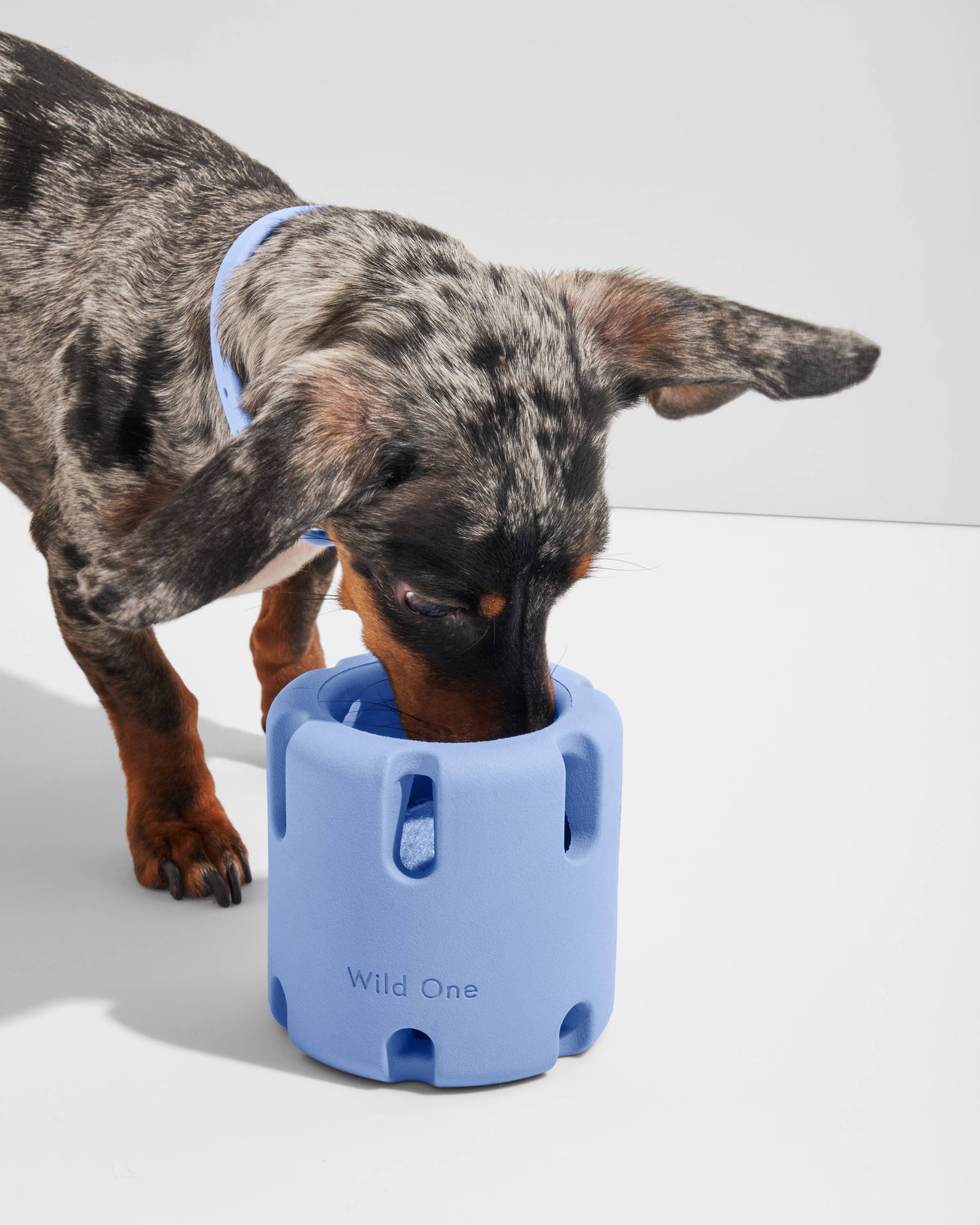 Wild One - Tennis Tumble Interactive Dog Toy