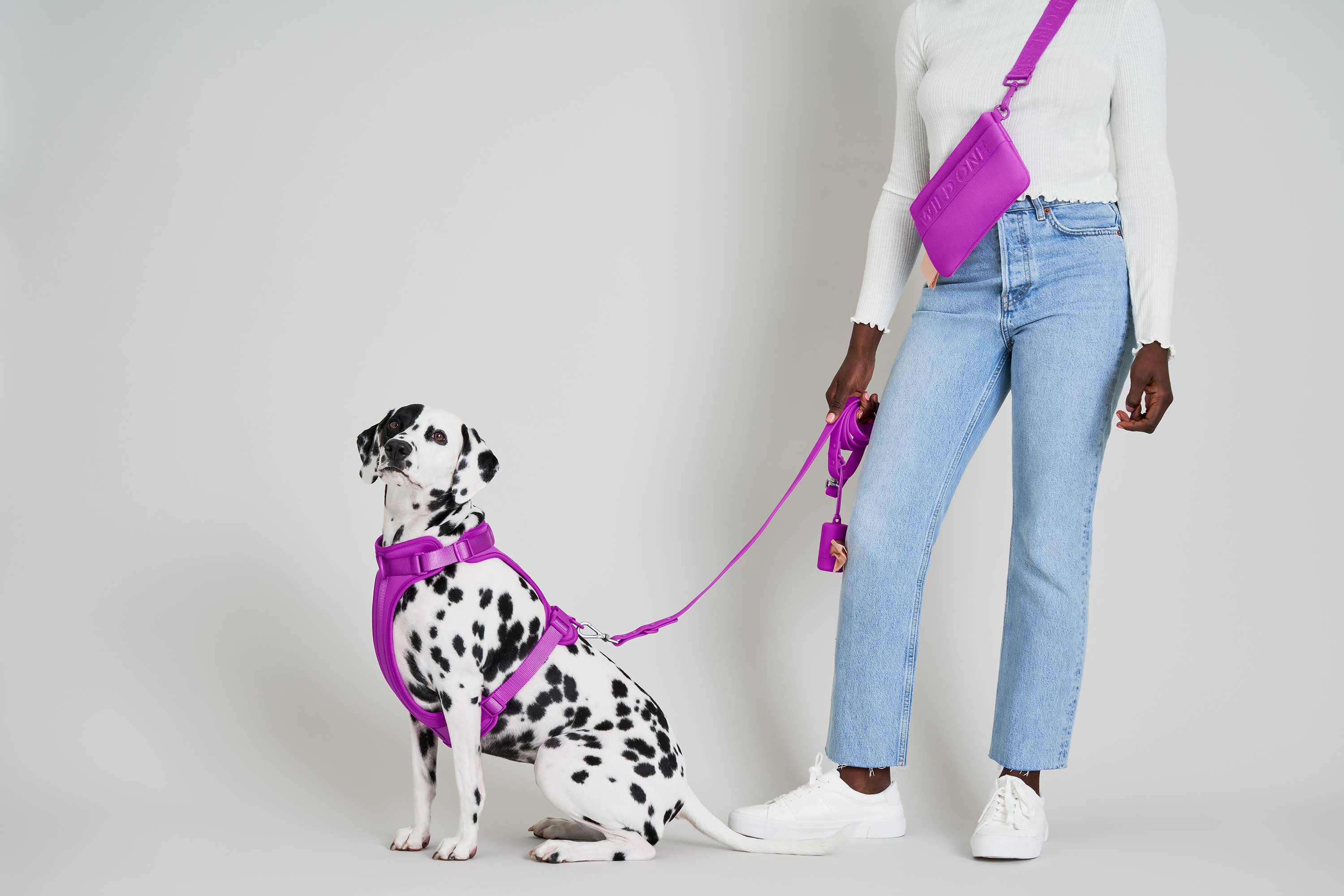 Wild One - Adjustable Waterproof Dog Leash