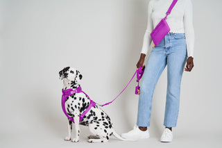 Wild One - Adjustable Waterproof Dog Leash