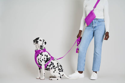 Wild One - Adjustable Waterproof Dog Leash