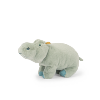 Large Hippopotamus