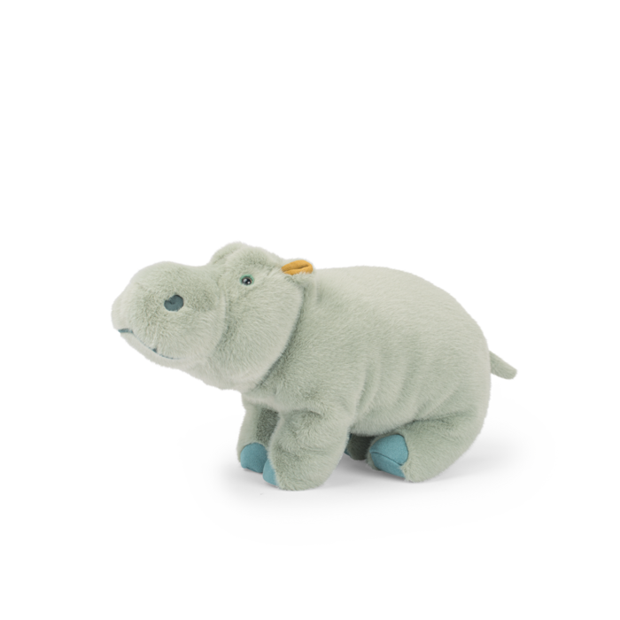 Large Hippopotamus