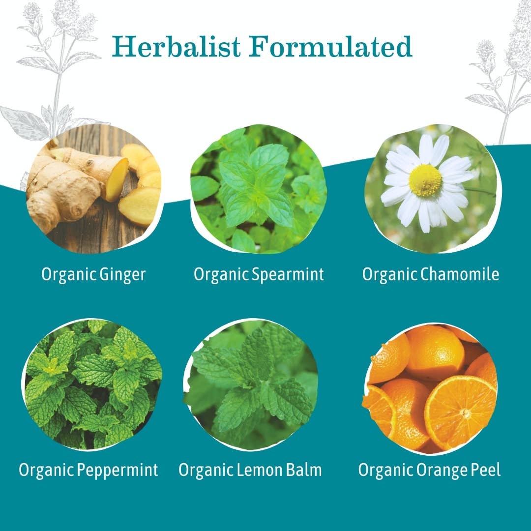 Image of Organic Ginger Nausea Tea