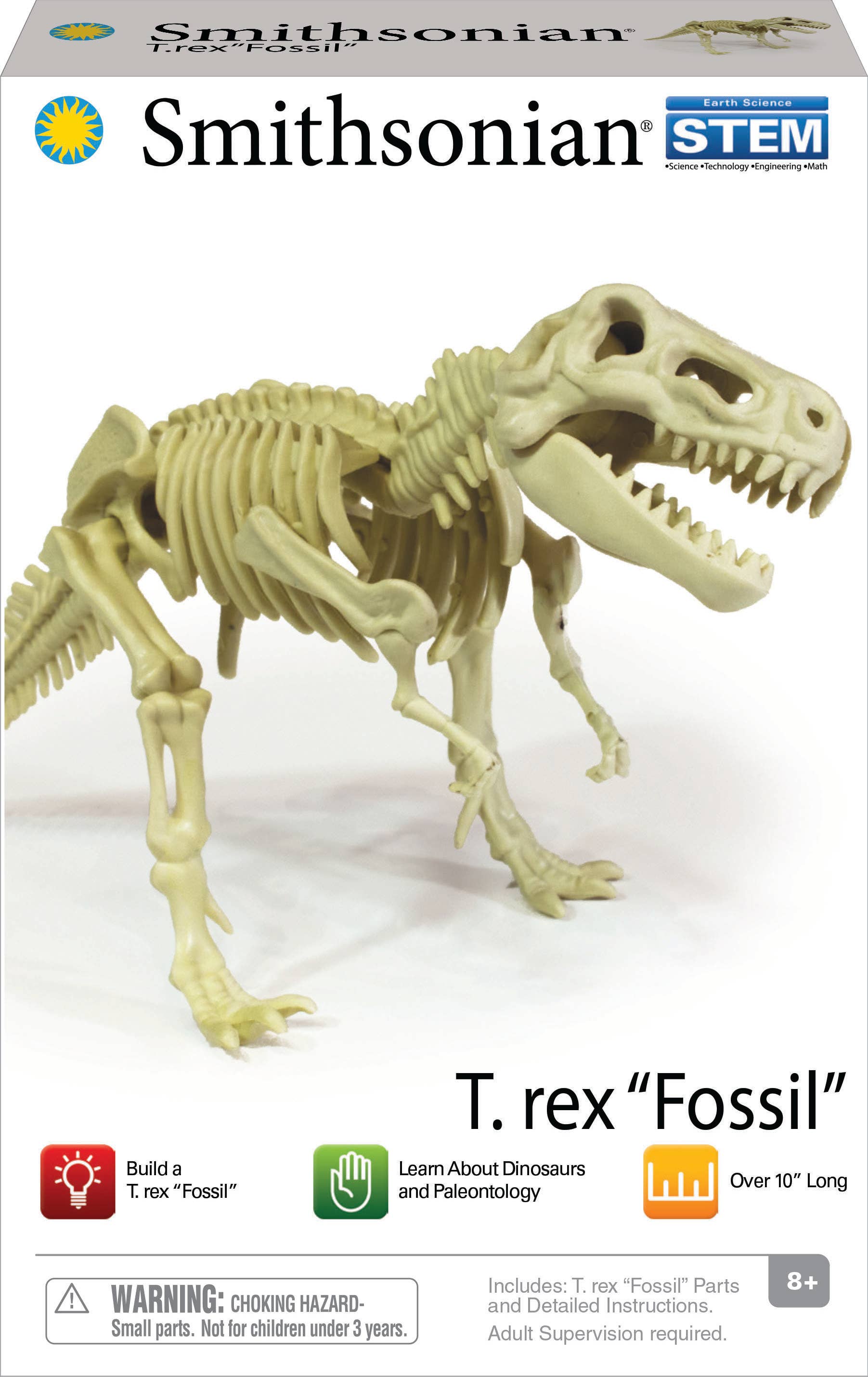 Toysmith - Smithsonian Dinosaur Fossils T-Rex Value Set