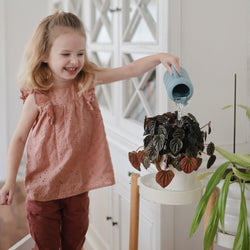 Image of Silicone Watering Can