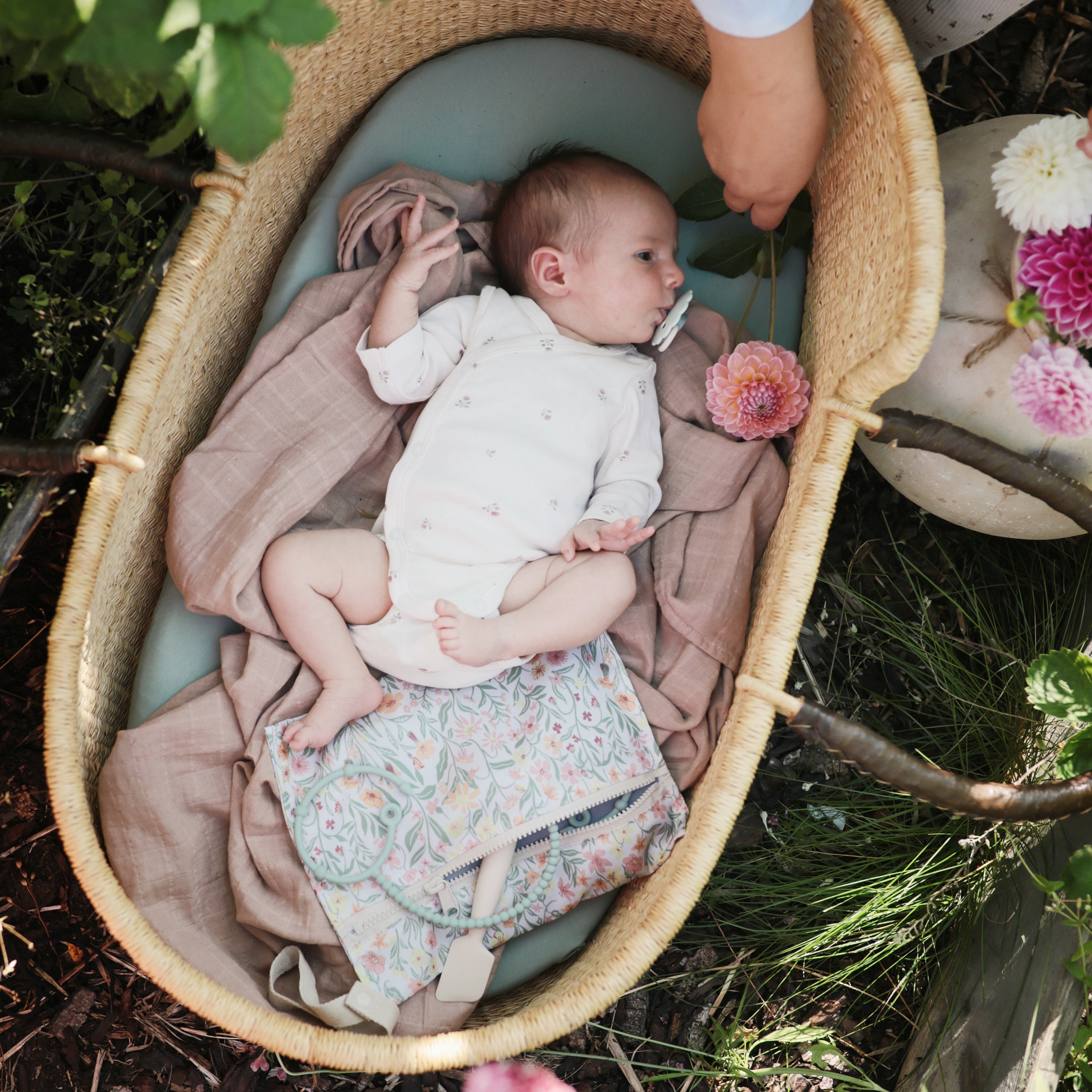 Image of Diaper Cream Applicator