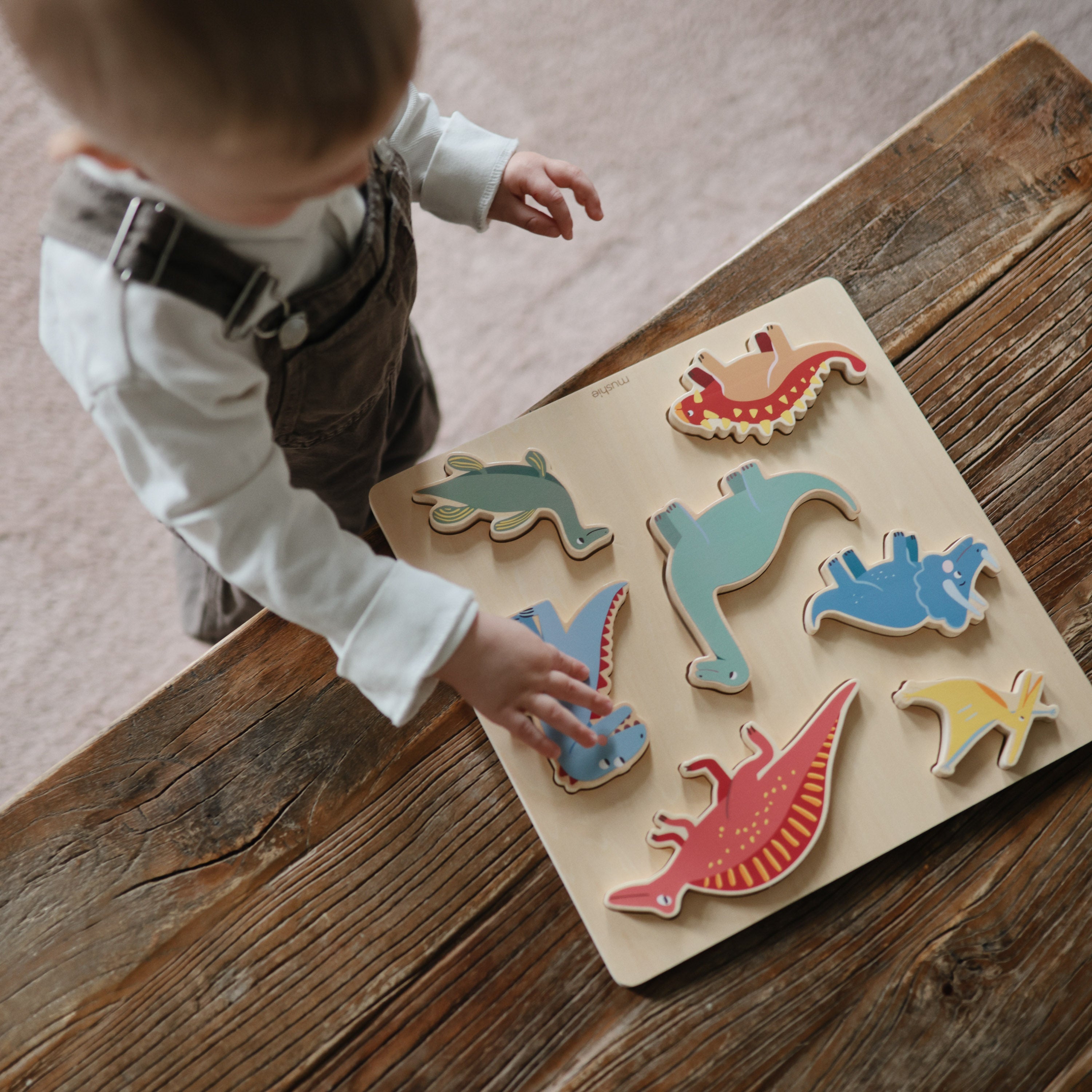 Image of Wooden Dino Puzzle
