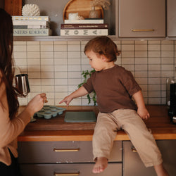 Image of Baby Food Freezer Tray