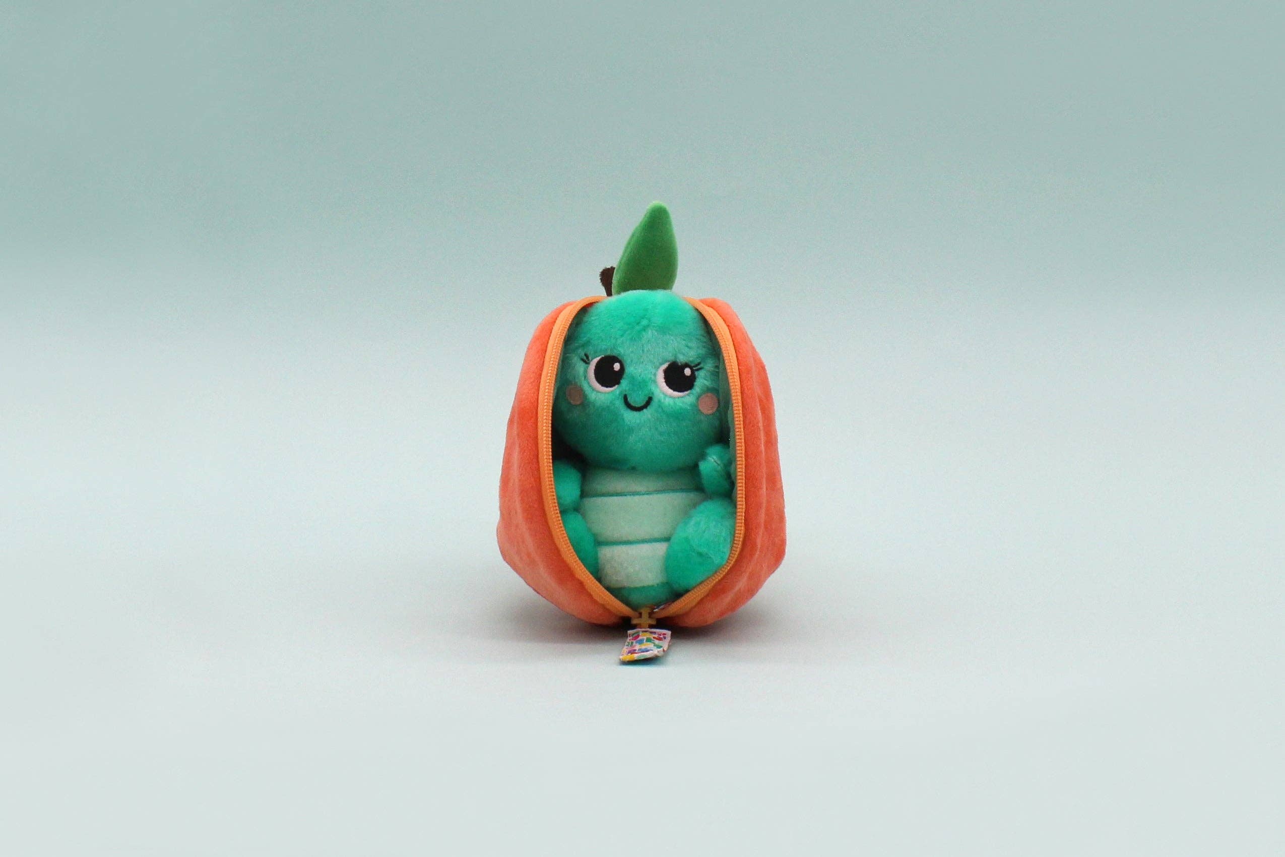 Corvet the Turtle/Peach