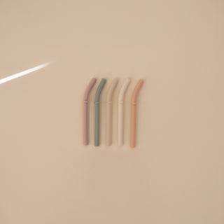 Silicone Replacement Straws - 5 Pack