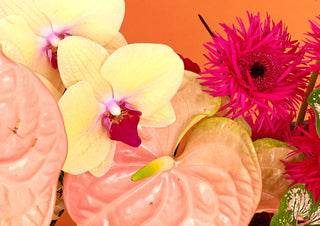 Bare Mum - Gift Packaging