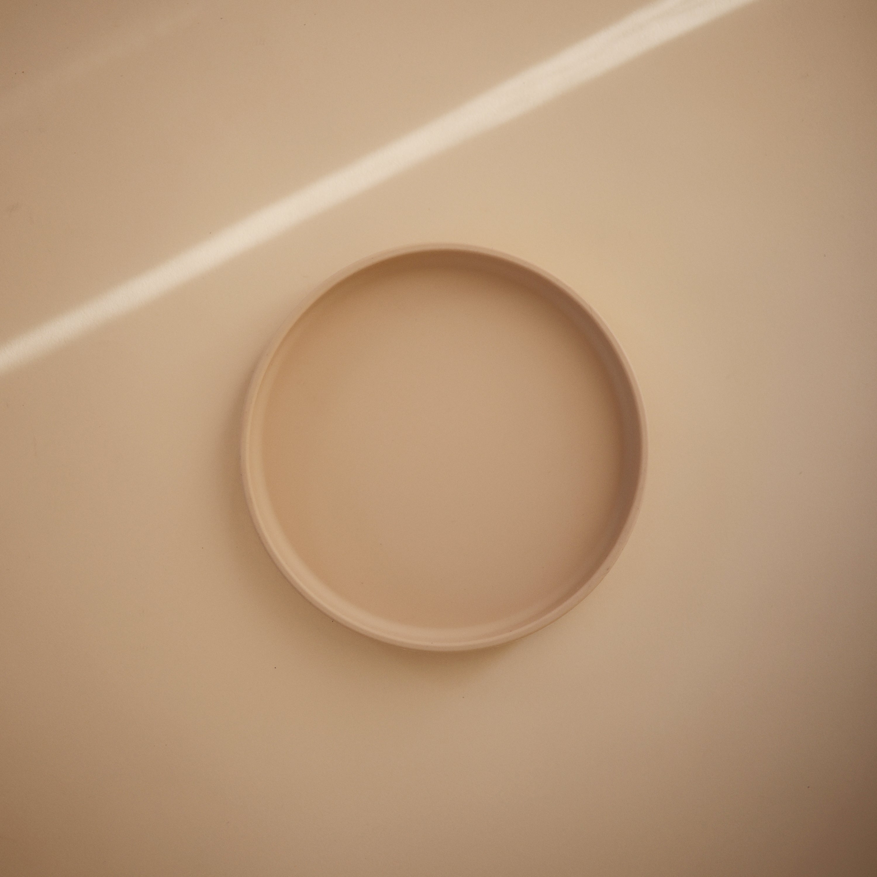 Image of Classic Silicone Suction Plate
