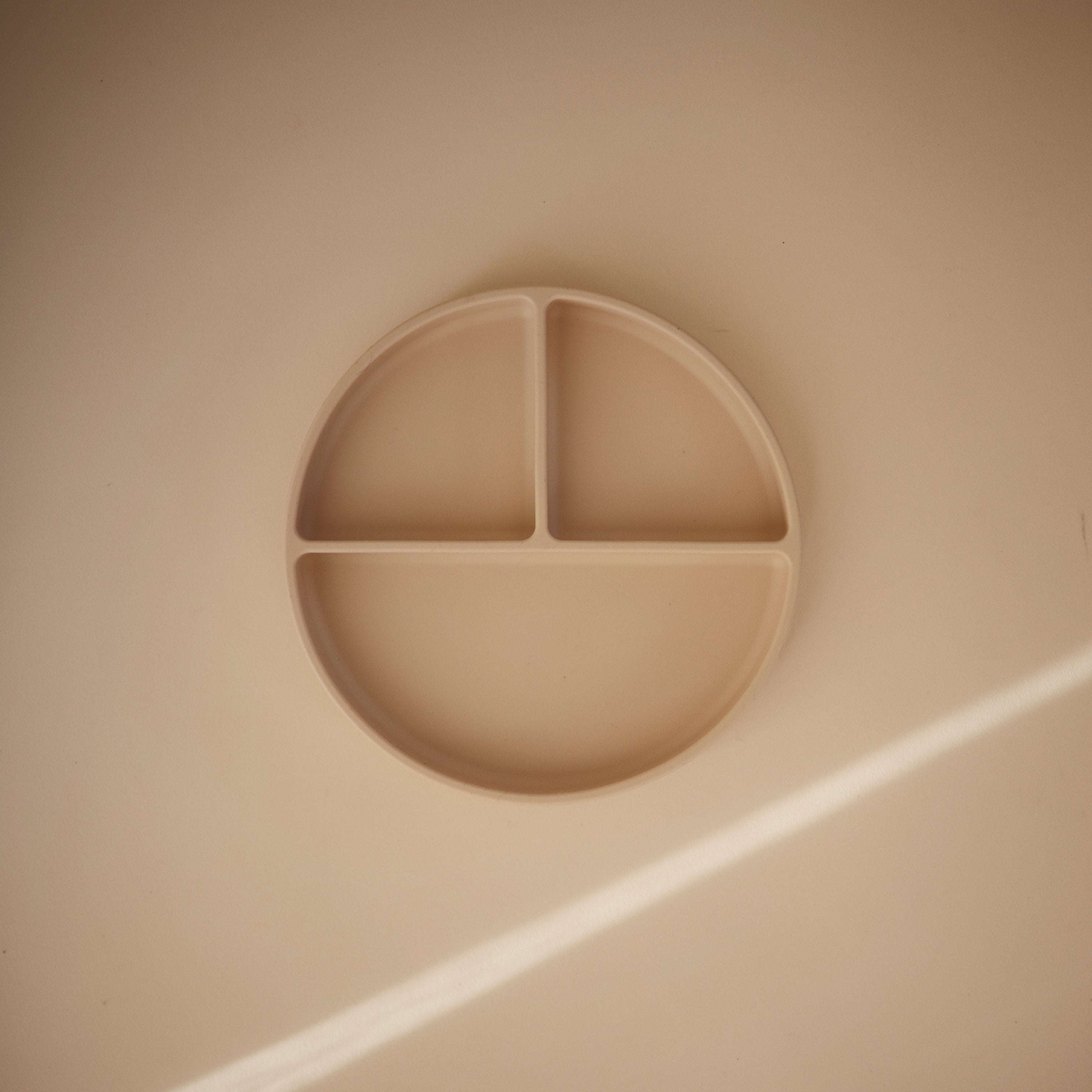 Image of Silicone Suction Plate