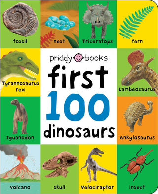 Macmillan Publishers - First 100: First 100 Dinosaurs: