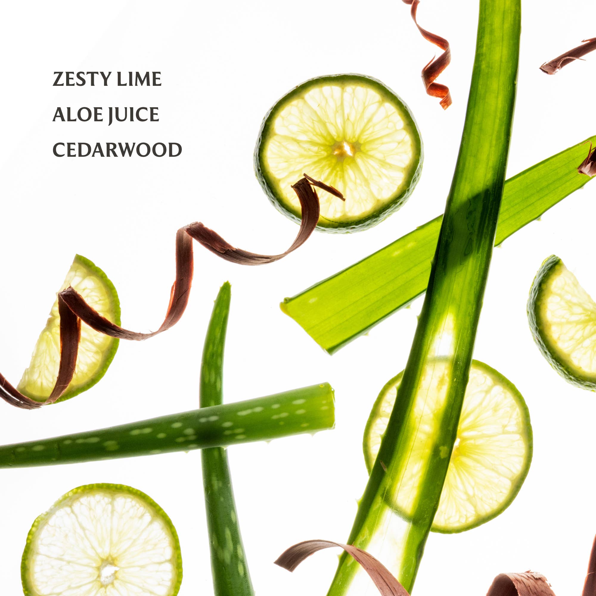 Image of Aloe You Mist Hydrating Hand Sanitizer