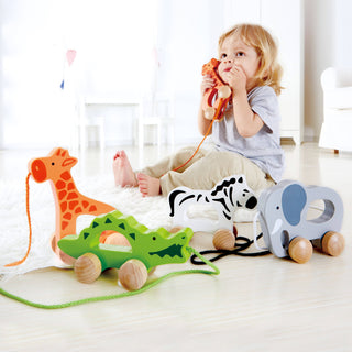 Hape - Giraffe Pull Toy