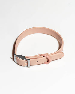 Image of Wild One - Adjustable Waterproof Fashion Dog Collar