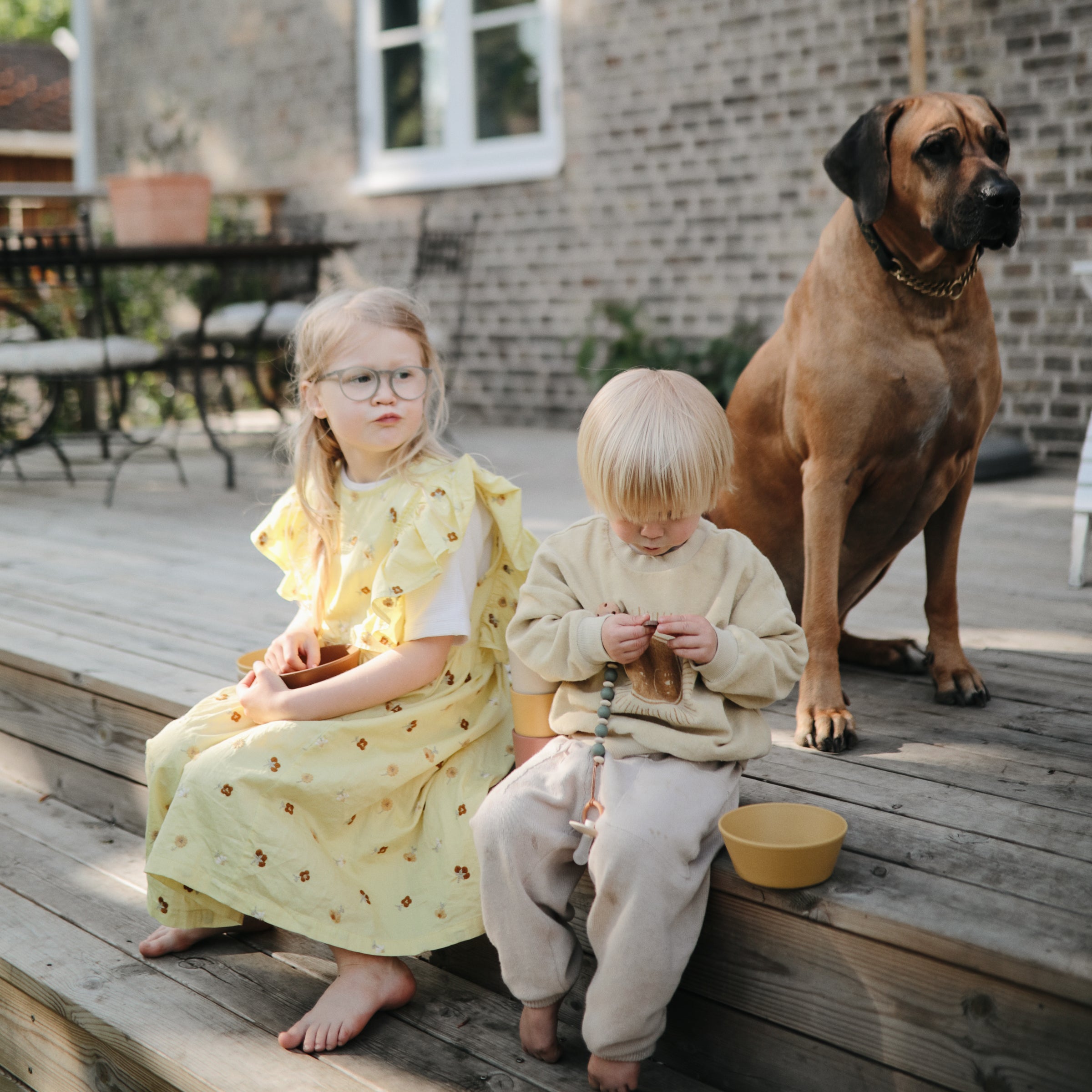 Image of Round Dinnerware Bowl, Set of 2