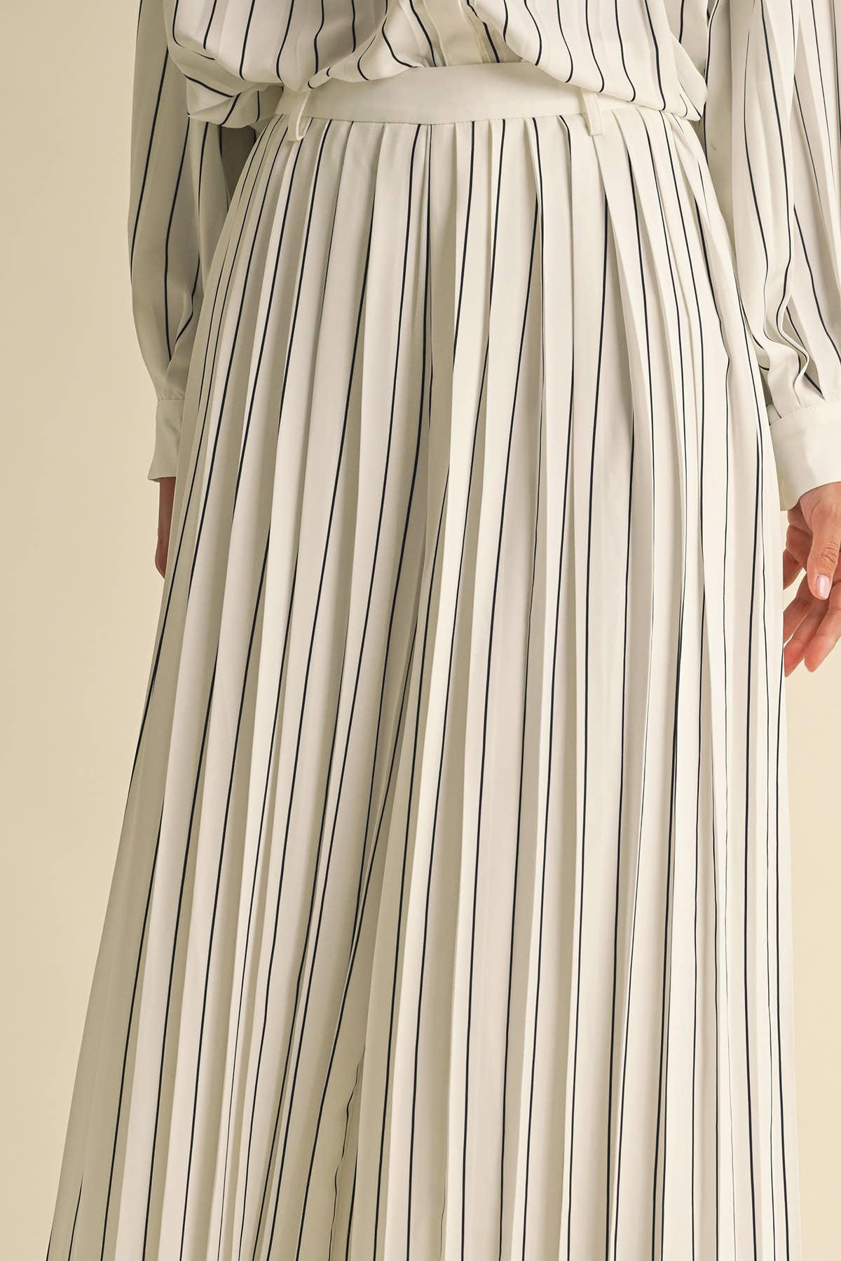 Image of Pleated Stripe Pants