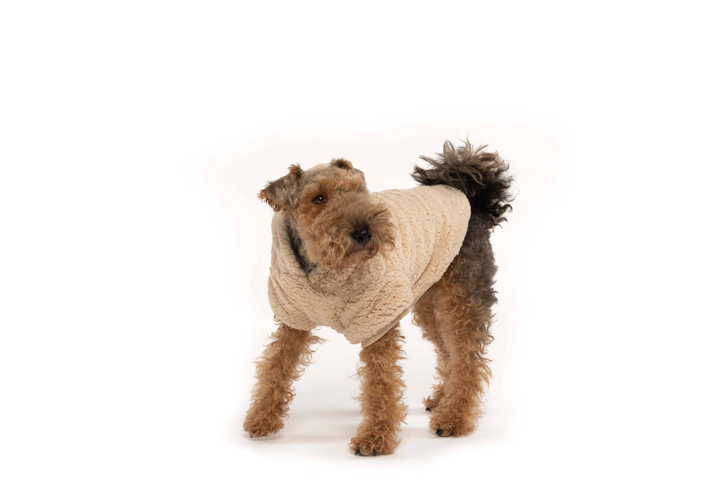 fabdog - Cream Sherpa Dog Hoodie: 10"