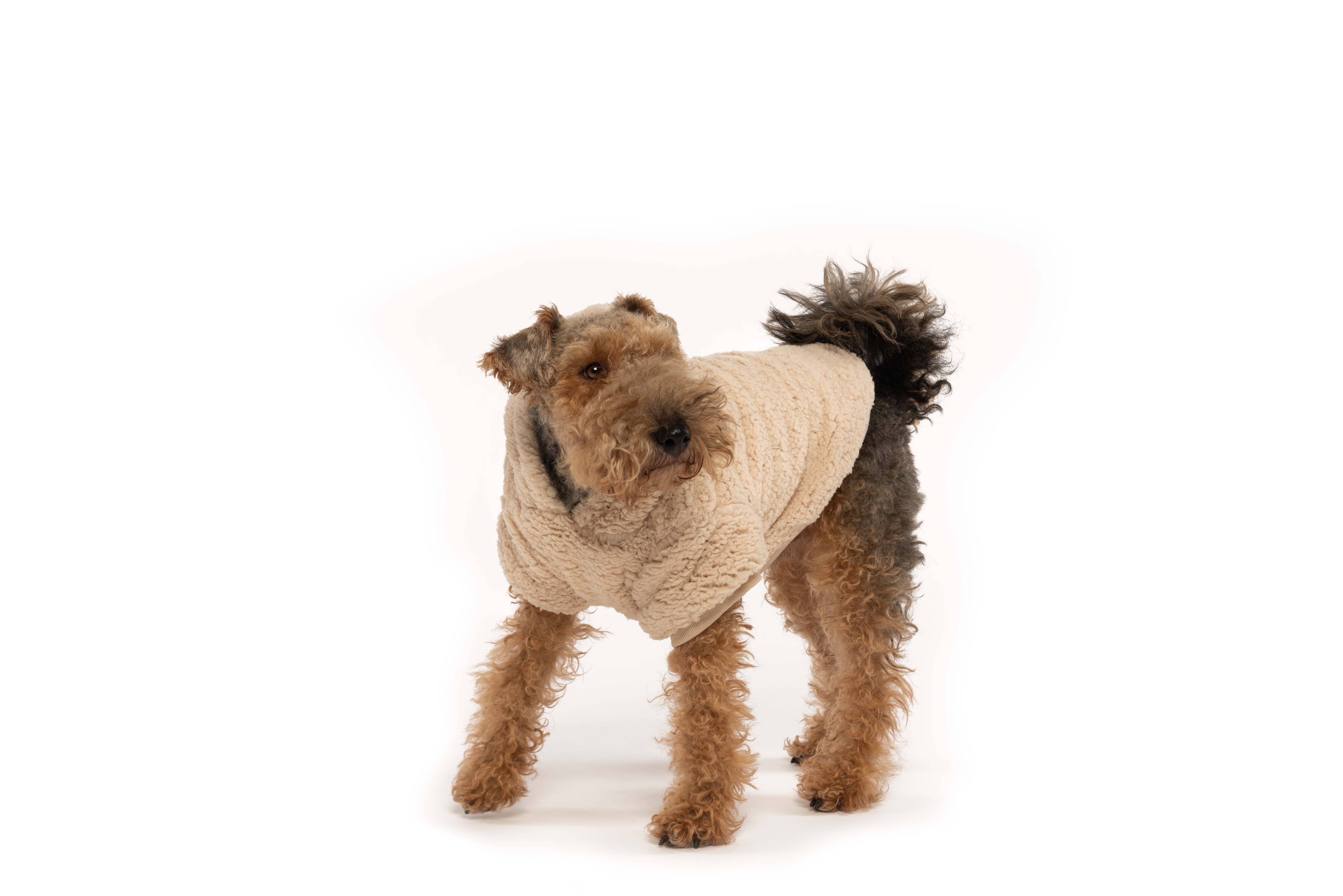 fabdog - Cream Sherpa Dog Hoodie: 14"