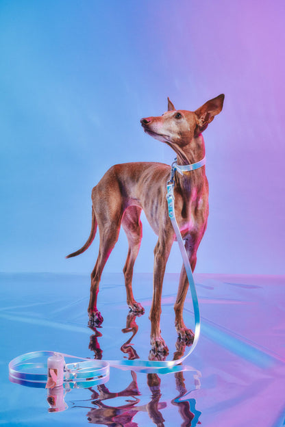 Wild One - Adjustable Waterproof Dog Leash