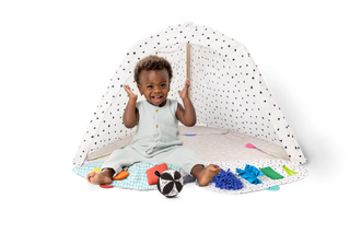The Play Gym