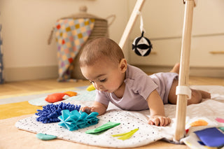 The Play Gym