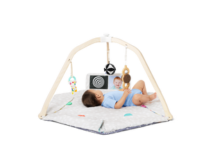 The Play Gym