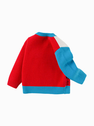 Roaring Dino Colorblock Sweater
