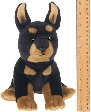 Thor  the Doberman