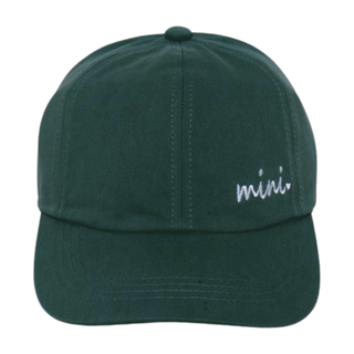 MINI ON SIDE EMBROIDERED BASEBALL CAP: SAGE