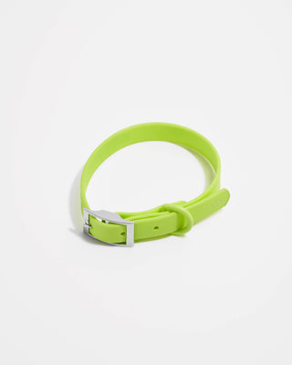 Wild One - Adjustable Waterproof Fashion Dog Collar