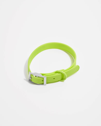 Wild One - Adjustable Waterproof Fashion Dog Collar
