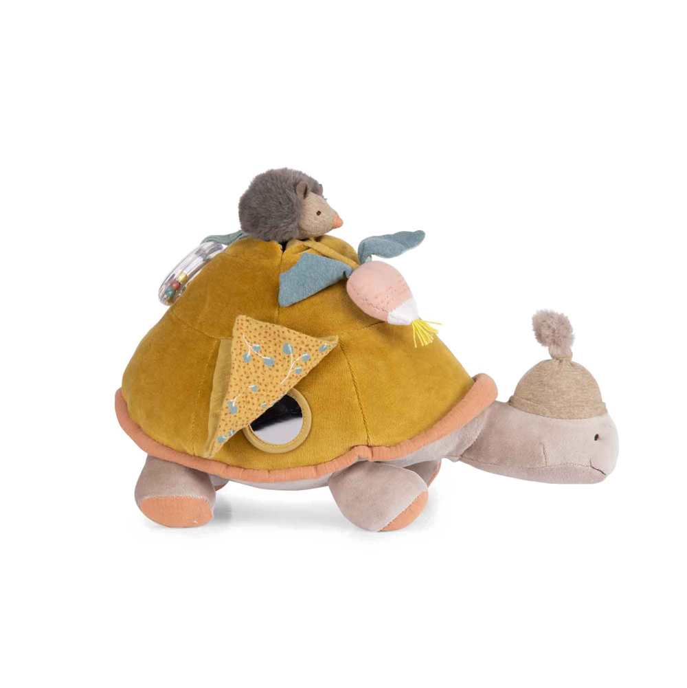 Large Activity Turtle