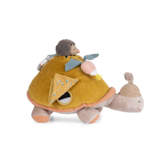 Large Activity Turtle