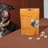 Wild One - Organic Pumpkin Spice Vegan Baked Dog Treats