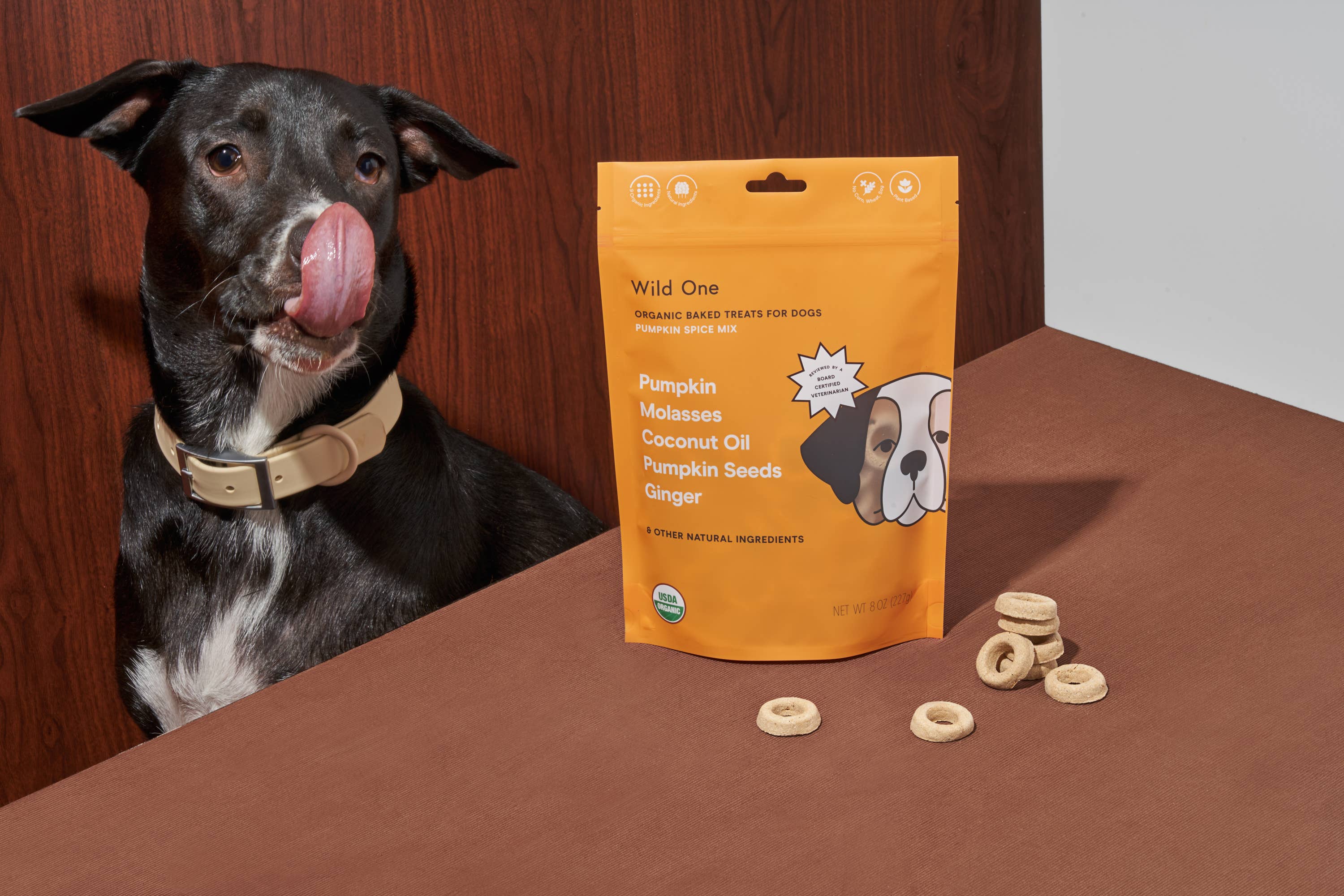 Image of Wild One - Organic Pumpkin Spice Vegan Baked Dog Treats