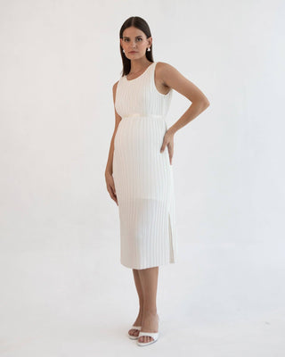 Michelle Pleat Feeding Dress