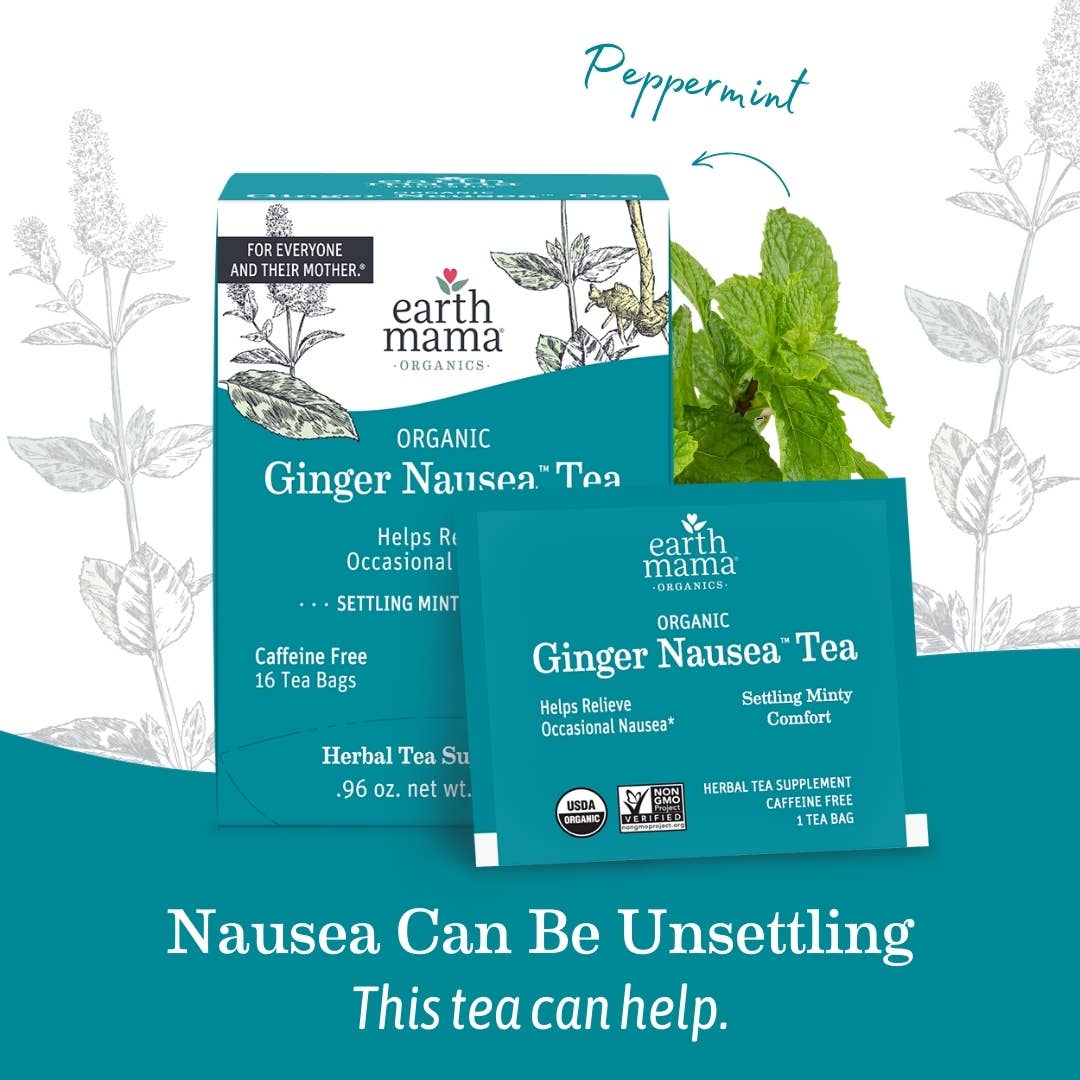 Image of Organic Ginger Nausea Tea