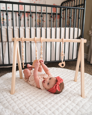 Play Gym Set