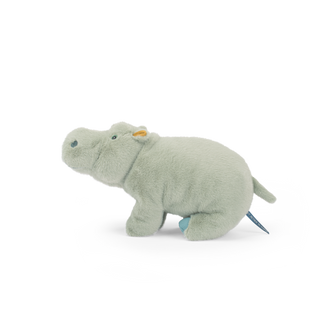 Large Hippopotamus