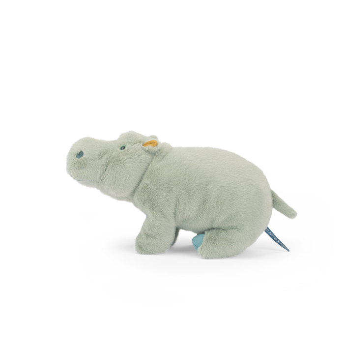 Large Hippopotamus