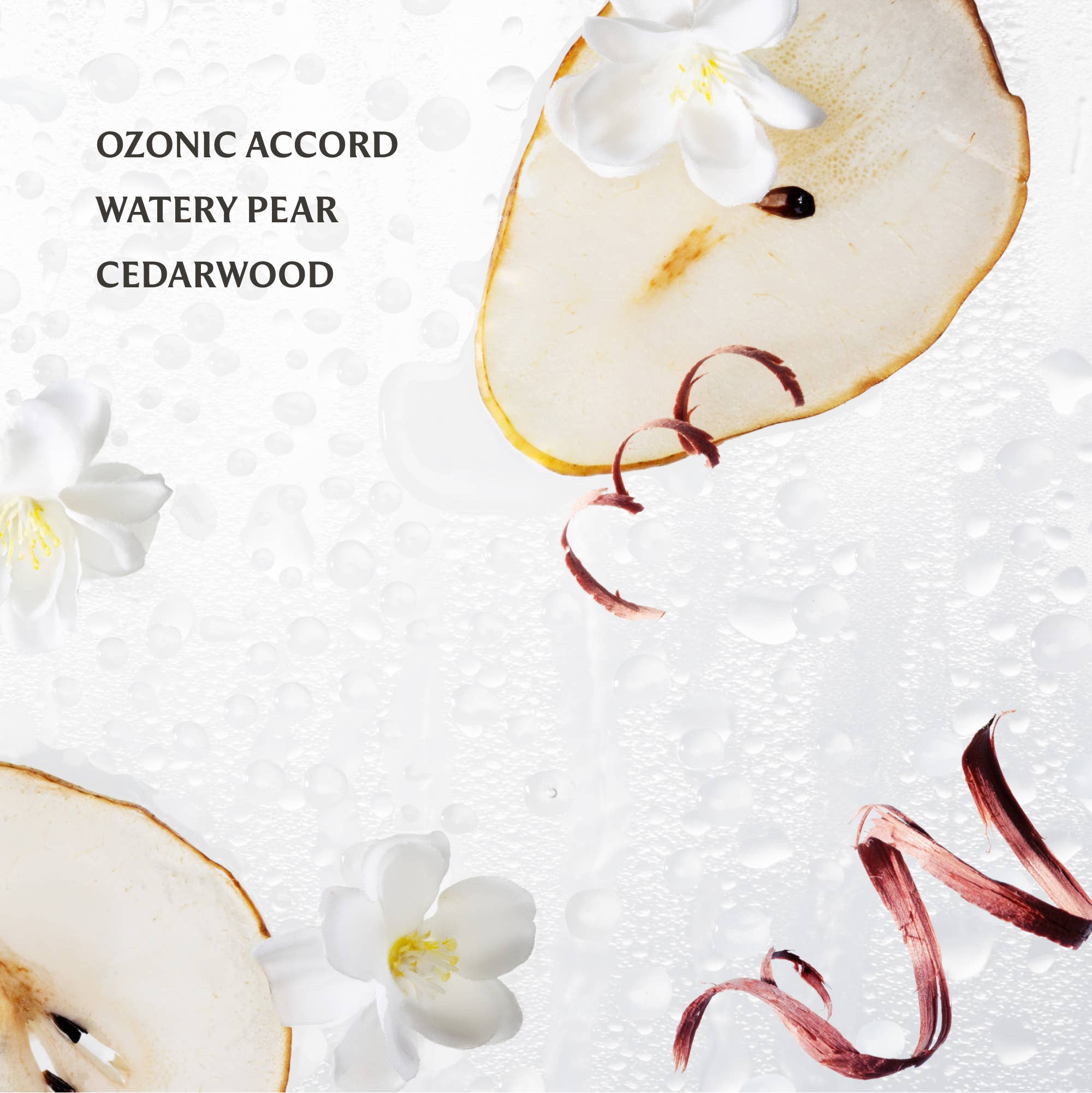 Image of Rainwater Mist Hydrating Hand Sanitizer